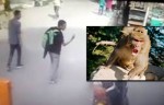 Tourist Get Instant Results For Showing Middle Finger To A Monkey. Instant Karma!