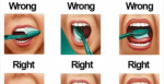 You’ve Been Brushing Your Teeth Wrong This Entire Time (VIDEO)