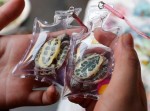 Live Animals Are Being Stuck Inside Tiny Plastic Keychains In China And Sold As Jewelry