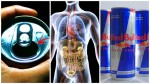 How Your Body Reacts To Drinking Red Bull (You Will Never Drink This Again After Reading This) !!!
