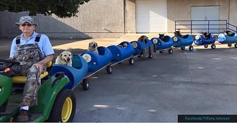 All Aboard The Dog Train!! Man Takes Rescued Pups For Rides!