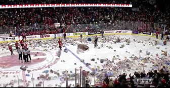 Fans Get Permission To Disrupt Hockey Game – For A Great Reason!