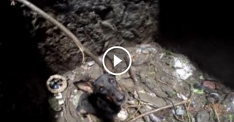 When You See This Dog’s Reaction To Her Rescuers, It Will Bring Tears To Your Eyes