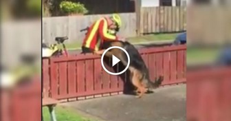 Everyday, Mailman Gets Off His Bike And Spends a Few Minutes Playing With “Misunderstood” Dog