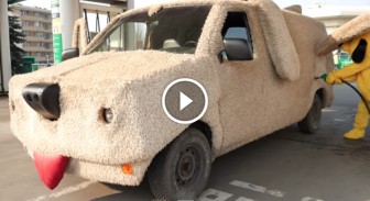 CarDog Helps Animals In A Very Unusual And Cute Way