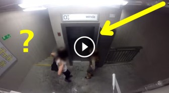 After They See What Was Inside Elevator They Run As Fast As Possible
