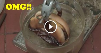 This is What Happens When You Dip A McDonald’s Cheeseburger In Stomach Acid