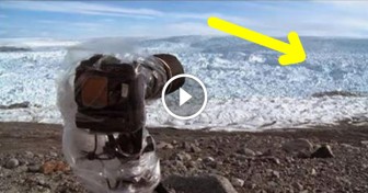 They Took A Camera To A Remote Area. What They Caught? Terrifying.