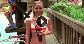 She’s Reporting The News In Her Bathing Suit When Her Co-Anchor Says THIS On Live TV
