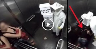 He Walks Into The Elevator With A Box Of ‘Live Bees.’ What She Does When He Drops The Box? LOL!
