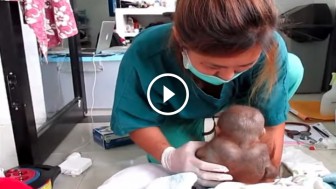 This Baby Was Locked In A Cage For A Year. When This Nurse Finds Him, My Heart Breaks!