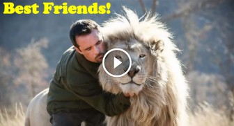 His Best Friend Is a Lion: Amazing Friendship Between a Man and Wild Lions!