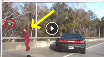 High Speed Cocaine Chase Suspect Throws Kilo of Cocaine in a River(Police Dash Cam)