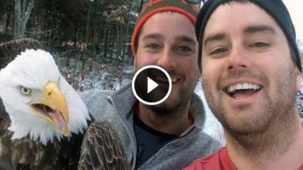 Two Brothers Rescued This Bald Eagle From A Trap And Than Decided to Take An Epic Selfie!