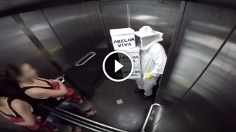 An Elevator Full of Bees! This Has To Be The Cruelest Prank Ever!