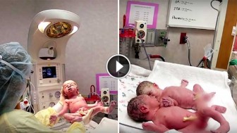 This Newborn Baby Won’t Stop Crying. But When They Put Him With His Twin Sister? AMAZING!