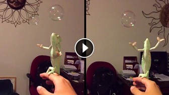 They Start Blowing Bubbles At This Chameleon. The Chameleon’s Reaction? Priceless!