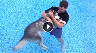 He Put His Sick, Old Dog In The Pool. When I Realized Why, My Heart Melted!