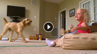 Parents Hook Her Up To A Machine To Keep Her Alive. Now Watch What The Dog Does…