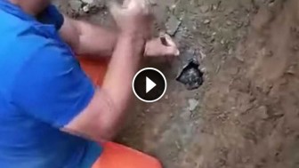 They Heard Loud Sounds Coming From Underground. When They Dug A Hole …Holy Cow!