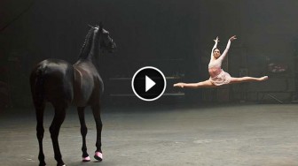 This Ballerina Performs her Routine in Front of a Horse. Look at How the Horse Responds