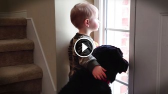 This Sad Pup Missed His Family, So His Little Human Did THIS To Comfort Him …Awww!!!