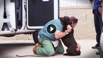 A Tough Prison Inmate Raised This Dog, But Watch What Happens When He Says Goodbye