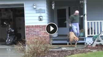 People Often Stare And Laugh At What This Guy Does With His Dog. But When You See Why …OMG?!