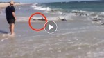 What happened on this beach is so awesome and terrifying! WOW!