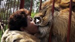 A lion’s reaction when it sees the woman who saved it’s life. Powerful video!