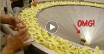 You Will Never Eat Chicken After You Know The Whole Brutal Process (Video)