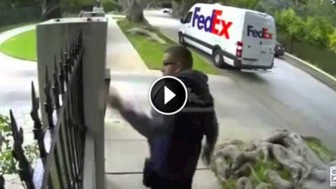 These FedEx Delivery Guys Don’t Know The Meaning Of “Handle With Care”