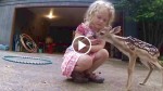Little Girl is Playing in Her Yard, Then An Unexpected Visitor Comes By… ADORABLE!