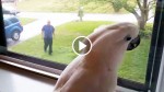 Cockatoo Sees Dad Coming Home from Work, Then Absolutely Freaks Out. This Is What I Call A Warm Welcome