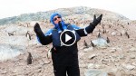 Man Starts Singing Opera For Penguins In Antarctica, Then Gets The Critique He Did Not Expect