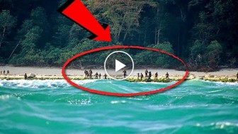 If you go to this island… It will eat you! It’s unbelievable, but it’s TRUE! See why!