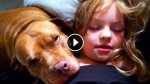 Rescued Pit Bull Makes Dramatic Change In This Autistic 6-Year-Old Girl’s Life