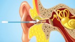 You’d probably stop cleaning your ears with q-tips after watching this video!