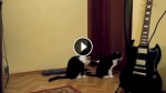 Apologetic Cat Deals With Rejection In The Most Unexpected Way. LOL!