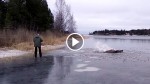 Couple Ice Skating Spots Enormous Creature Drowning. Their Heroic Act Is Now Going VIRAL!