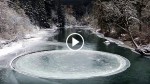 Woman Spots Something Strange In The River, Then Captures One Of Nature’s Most Rare Occurrences