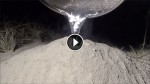 From Fire Ants To Fine Art! Casting an Ant Colony With Molten Aluminum