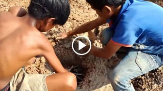 Two Boys Dig A Hole In The Ground Then Leave. Hours Later You’ll Never Believe What’s Inside