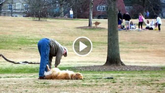 Camera Catches Man Doing Something Completely UNEXPECTED With The Dog. Wait Till You See Why…