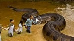They were passing through the jungle when they came across the biggest snake they’ve ever seen
