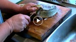 This woman prepares fresh fish for dinner. But I’m sure she never expected this to happen! Wait for it