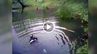 Police Officer Spots A Child Alone By Pond, Then He Starts Running And Sees Him Face-Down In Water