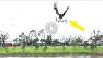 Flying hawk picks up live snake, throws it at family picnic