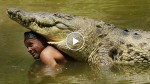 This is the one of a kind friendship of a man who swims with his best crocodile! What’s wrong with this guy?