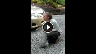 Dog Passes Out From Joy After Seeing His Owner For The First Time In 2 Years